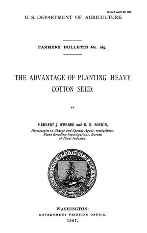 The Advantage of Planting Heavy Cotton Seed