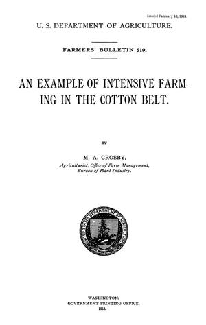 An Example of Intensive Farming in the Cotton Belt