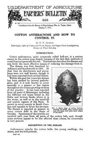 Cotton Anthracnose and How to Control It