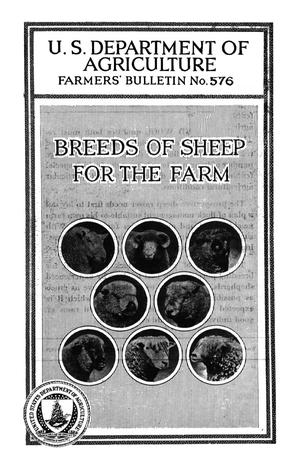 Breeds of Sheep for the Farm