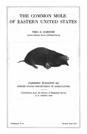 The Common Mole of the Eastern United States