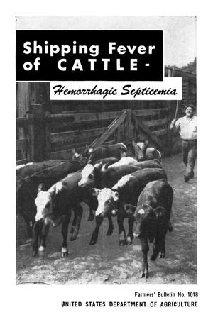 Shipping Fever of Cattle: Hemorrhagic Septicemia