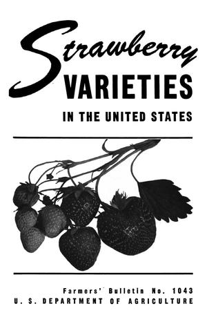 Strawberry Varieties in the United States