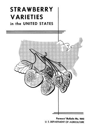 Strawberry Varieties in the United States