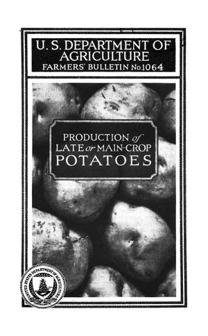 Production of Late or Main Crop Potatoes.