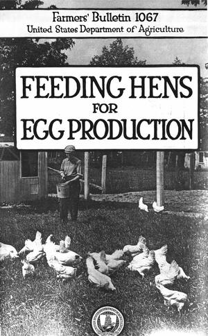 Feeding Hens for Egg Production