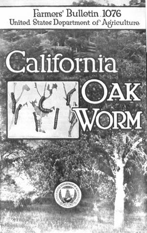 California Oak Worm