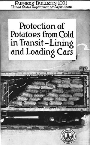 Protection of Potatoes from Cold in Transit-Lining and Loading Cars