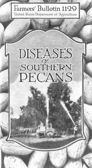 Diseases of Southern Pecans