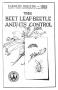 Pamphlet: The Beet Leaf-Beetle and Its Control