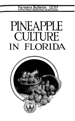 Pineapple Culture in Florida