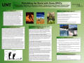 Poster: Rebuilding the World with Green BRICs