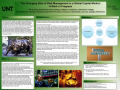 Poster: The Changing Role of Risk Management in a Global Capital Market: A Wo…
