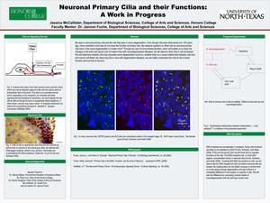 Neuronal Primary Cilia and their Functions: A Work in Progress