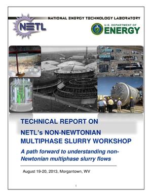 Technical Report on NETL's Non Newtonian Multiphase Slurry Workshop: A path forward to understanding non-Newtonian multiphase slurry flows