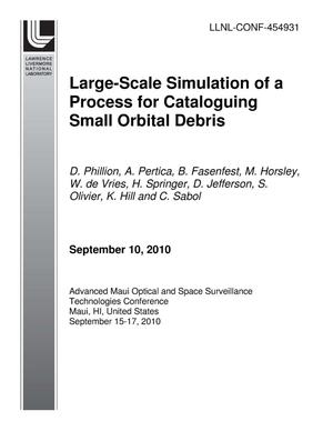 Large-Scale Simulation of a Process for Cataloguing Small Orbital Debris