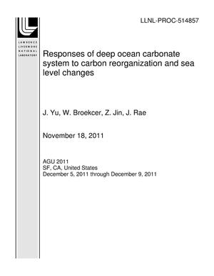 Responses of deep ocean carbonate system to carbon reorganization and sea level changes