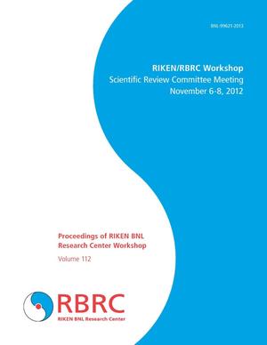Proceedings of RIKEN BNL Research Center Workshop
