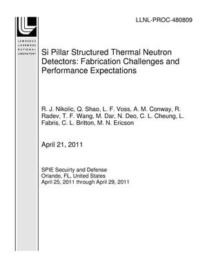 Si Pillar Structured Thermal Neutron Detectors: Fabrication Challenges and Performance Expectations