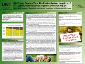 Do Foster Parents View The Foster System Negatively?