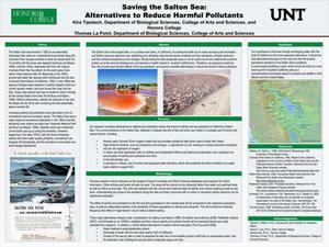 Saving the Salton Sea: Alternatives to Reduce Harmful Pollutants