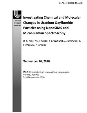 Investigating Chemical and Molecular Changes in Uranium Oxyfluoride Particles using NanoSIMS and Micro-Raman Spectroscopy