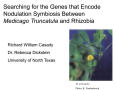 Presentation: Searching for the Genes that Encode Nodulation Symbiosis Between Medi…