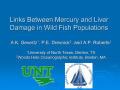 Presentation: Links Between Mercury and Liver Damage in Wild Fish Populations