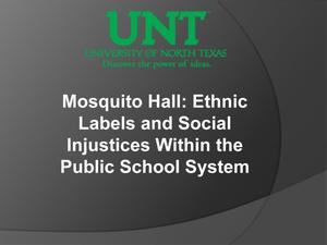 Mosquito Hall: Ethnic Labels and Social Injustices Within the Public School System