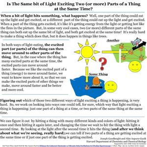 Is The Same bit of Light Exciting Two (or more) Parts of a Thing at the Same Time?