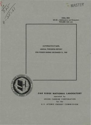 Mathematics Panel Annual Progress Report for Period Ending December 31, 1960