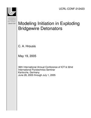 Modeling Initiation in Exploding Bridgewire Detonators