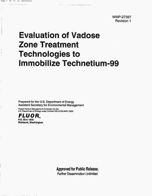 EVALUATION OF VADOSE ZONE TREATMENT TECHNOLOGIES TO IMMOBILIZE TECHNETIUM-99