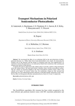 Transport Mechanisms in Polarized Semiconductor Photo cathodes