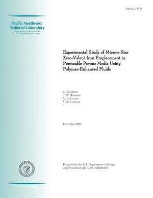 An Experimental Study of Micron-Size Zero-Valent Iron Emplacement in Permeable Porous Media Using Polymer-Enhanced Fluids