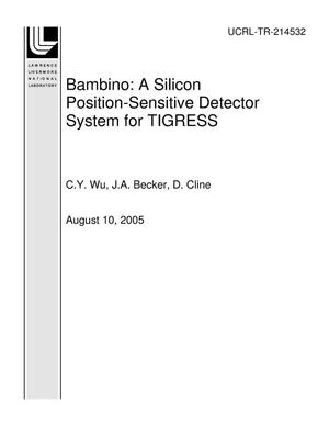 Bambino: A Silicon Position-Sensitive Detector System for TIGRESS