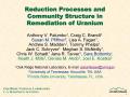 Presentation: Reduction Processes and Community Structure in Remediation of Uranium