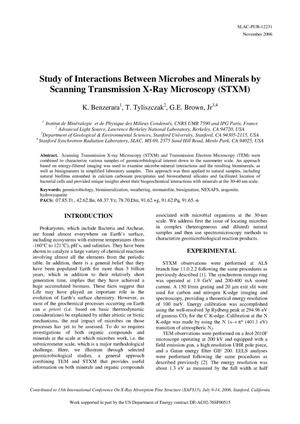 Study of Interactions Between Microbes and Minerals by Scanning Transmission X-Ray Microscopy (STXM)