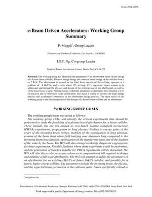 E-Beam Driven Accelerators: Working Group Summary