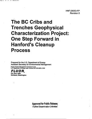 THE BC CRIBS & TRENCHES GEOPHYSICAL CHARACTERIZATION PROJECT ONE STEP FORWARD IN HANFORDS CLEANUP PROCESS