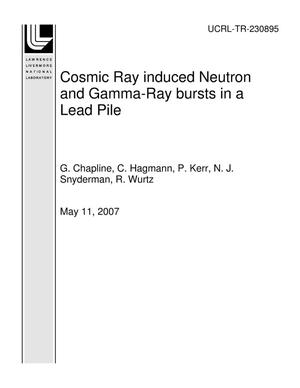 Cosmic Ray induced Neutron and Gamma-Ray bursts in a Lead Pile