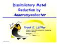 Presentation: Dissimilatory Metal Reduction by Anaeromyxobacter