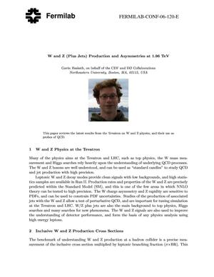 W and Z (plus jets) production and asymmetries at 1.96-TeV