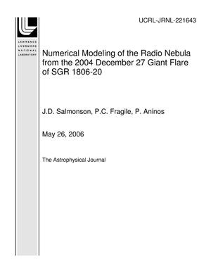 Numerical Modeling of the Radio Nebula from the 2004 December 27 Giant Flare of SGR 1806-20