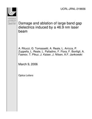 Damage and ablation of large band gap dielectrics induced by a 46.9 nm laser beam