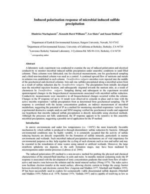 Induced polarization response of microbial induced sulfideprecipitation