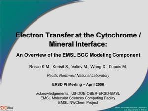 Electron Transfer at the Cytochrome / Mineral Interface: An Overview of the EMSL BGC Modeling Component
