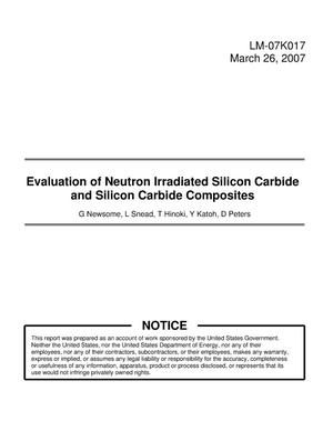 Evaluation of Neutron Irradiated Silicon Carbide and Silicon Carbide Composites