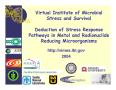 Presentation: Virtual Institute of Microbial Stress and Survival: Deduction of Stre…
