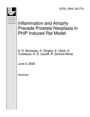 Inflammation and Atrophy Precede Prostate Neoplasia in PhIP Induced Rat Model